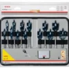 Trousse De Mèches Plates Expert BOSCH Self Cut Speed Ø10 à 32 Mm - 2608900336