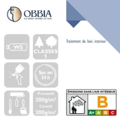 Traitement Du Bois OBBIA Insecticide Préventif Et Curatif 5L - TEXICSPE5