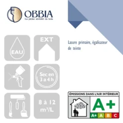 Lasure Primaire, Égalisateur De Teinte Obbiacryl AB - Incolore - Bidon 5L