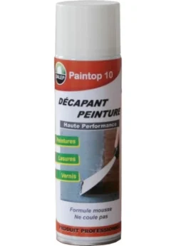 Paintop Décapant Peinture Haute Performance Bombe Aérosol 500ml DALEP - 710001
