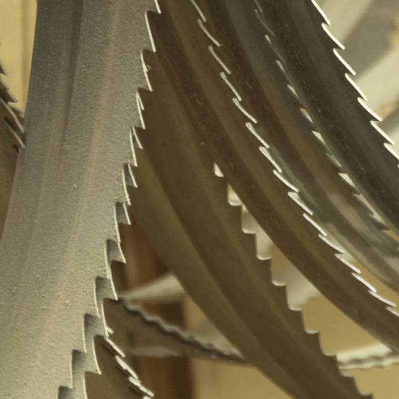 Lame Scie Ruban 10/14 Z/1" 2480x27x0.9 Mm FEMI N257DADG N250/251DAXL - 3280043 1 Lame Scie Ruban 10/14 Z/1" 2480x27x0.9 Mm FEMI N257DADG N250/251DAXL - 3280043